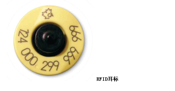 牛耳標2.png